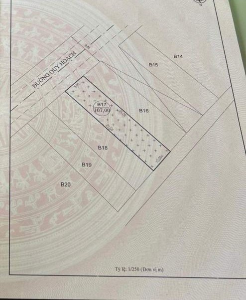 Bán đất