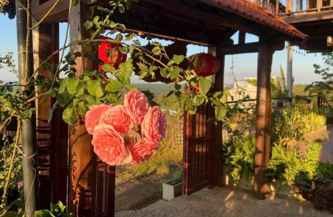Homestay