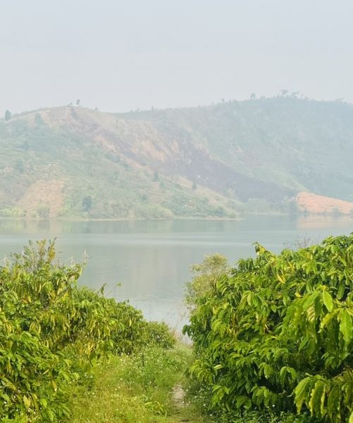 Bán đất