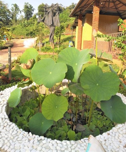 Bán nhà