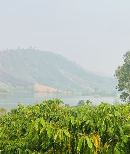Bán đất