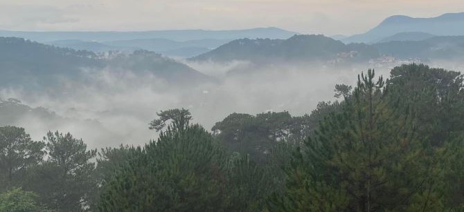 cho thuê