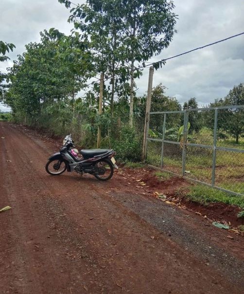 Bán đất nông nghiệp