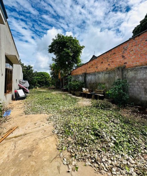 Bán đất