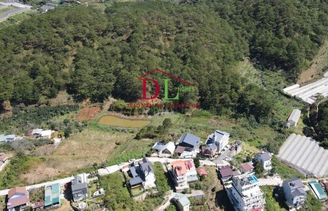 Bán nhà