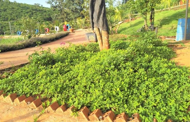 Bán nhà