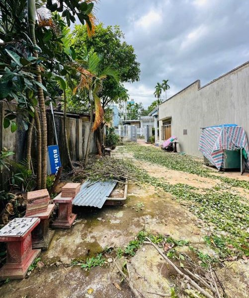 Bán đất